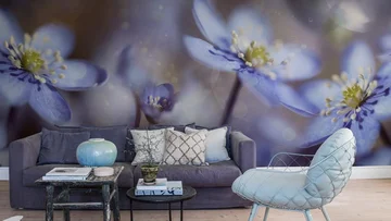 Dörflinger & Nickow C170121-12 Fototapete mit großen Blüten im Wohnzimmer